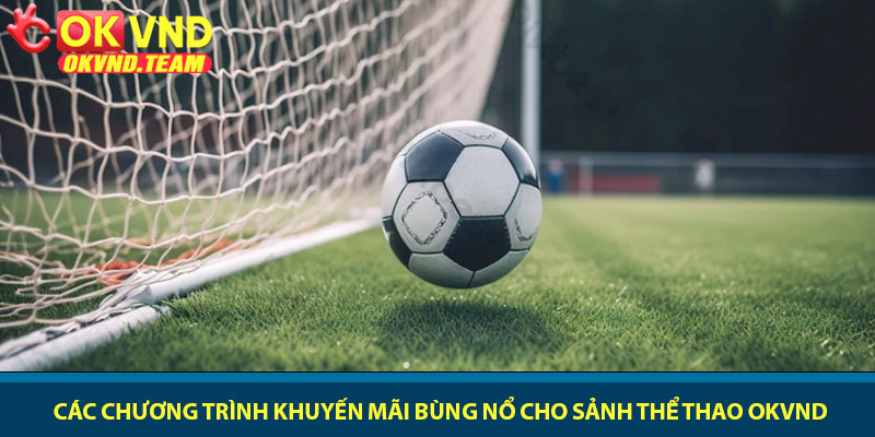 Thể thao OKVND - Tỷ lệ kèo hấp dẫn nhất 2026 4 Các chương trình khuyến mãi bùng nổ cho sảnh thể thao OKVND
