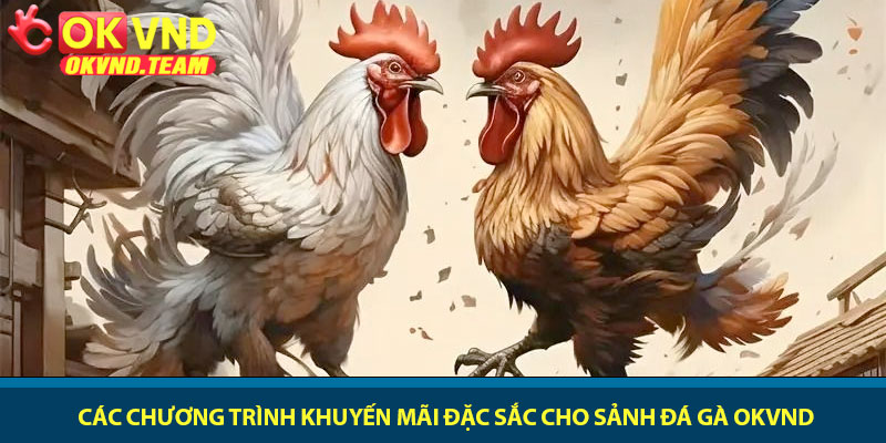 Đá gà OKVND - Đấu trường kê chiến đẳng cấp 2026 4 Các chương trình khuyến mãi đặc sắc cho sảnh đá gà OKVND