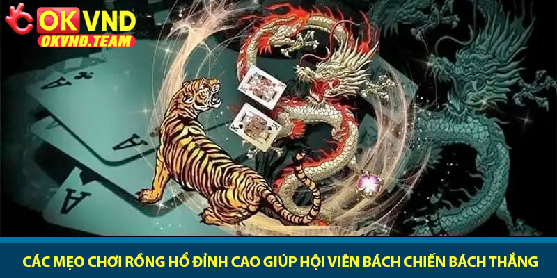 Mẹo chơi Rồng Hổ - Chiến thuật làm chủ bàn cược tại OKVND 3 Các mẹo chơi Rồng Hổ đỉnh cao giúp hội viên bách chiến bách thắng