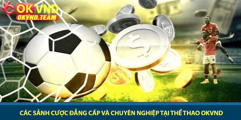 Thể thao OKVND - Tỷ lệ kèo hấp dẫn nhất 2026 2 Các sảnh cược đẳng cấp và chuyên nghiệp tại thể thao OKVND