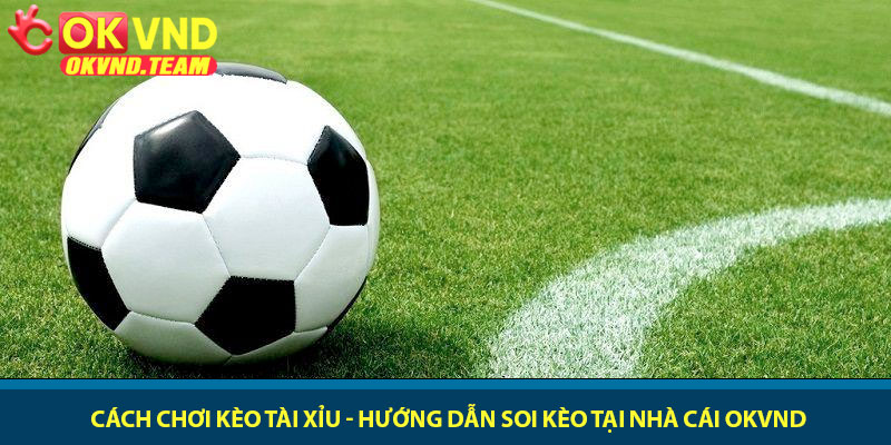 Cách chơi kèo Tài Xỉu - Hướng dẫn soi kèo tại nhà cái OKVND 8 Cách chơi kèo Tài Xỉu - Hướng dẫn soi kèo tại nhà cái OKVND