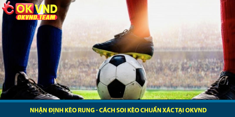 Nhận định kèo rung - Cách soi kèo chuẩn xác tại OKVND 9 Nhận định kèo rung - Cách soi kèo chuẩn xác tại OKVND