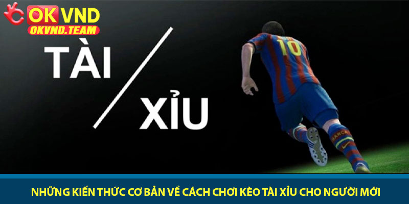 Cách chơi kèo Tài Xỉu - Hướng dẫn soi kèo tại nhà cái OKVND 2 Những kiến thức cơ bản về cách chơi kèo Tài Xỉu cho người mới