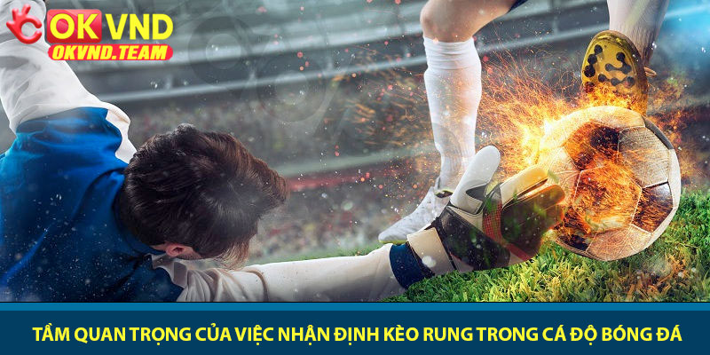 Nhận định kèo rung - Cách soi kèo chuẩn xác tại OKVND 2 Tầm quan trọng của việc nhận định kèo rung trong cá độ bóng đá