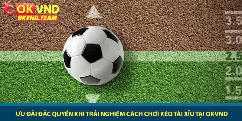 Cách chơi kèo Tài Xỉu - Hướng dẫn soi kèo tại nhà cái OKVND 4 Ưu đãi đặc quyền khi trải nghiệm cách chơi kèo Tài Xỉu tại OKVND