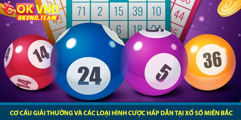 Xổ số miền Bắc - Sân chơi số học uy tín và minh bạch 2026 2 Cơ cấu giải thưởng và các loại hình cược hấp dẫn tại xổ số miền Bắc
